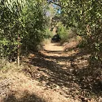 Views Apartment, Cortijo Fruitful Hills 말라가
