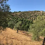 Views Apartment, Cortijo Fruitful Hills 아파트