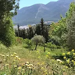Views Apartment, Cortijo Fruitful Hills *