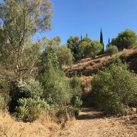 Views Apartment, Cortijo Fruitful Hills * Malaga