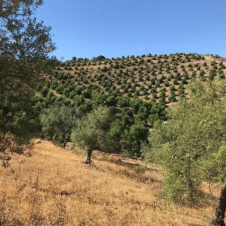 Views Apartment, Cortijo Fruitful Hills Apartment