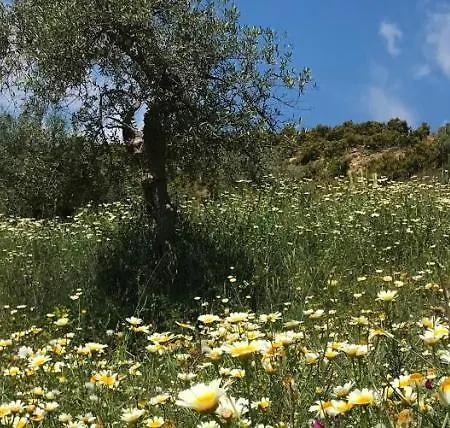 Views Apartment, Cortijo Fruitful Hills Apartment