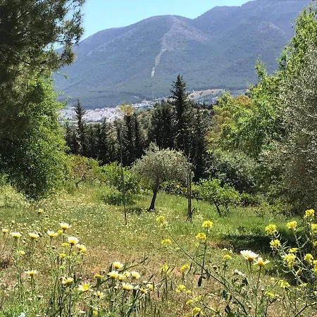 Views Apartment, Cortijo Fruitful Hills *