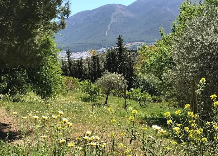 Views Apartment, Cortijo Fruitful Hills *